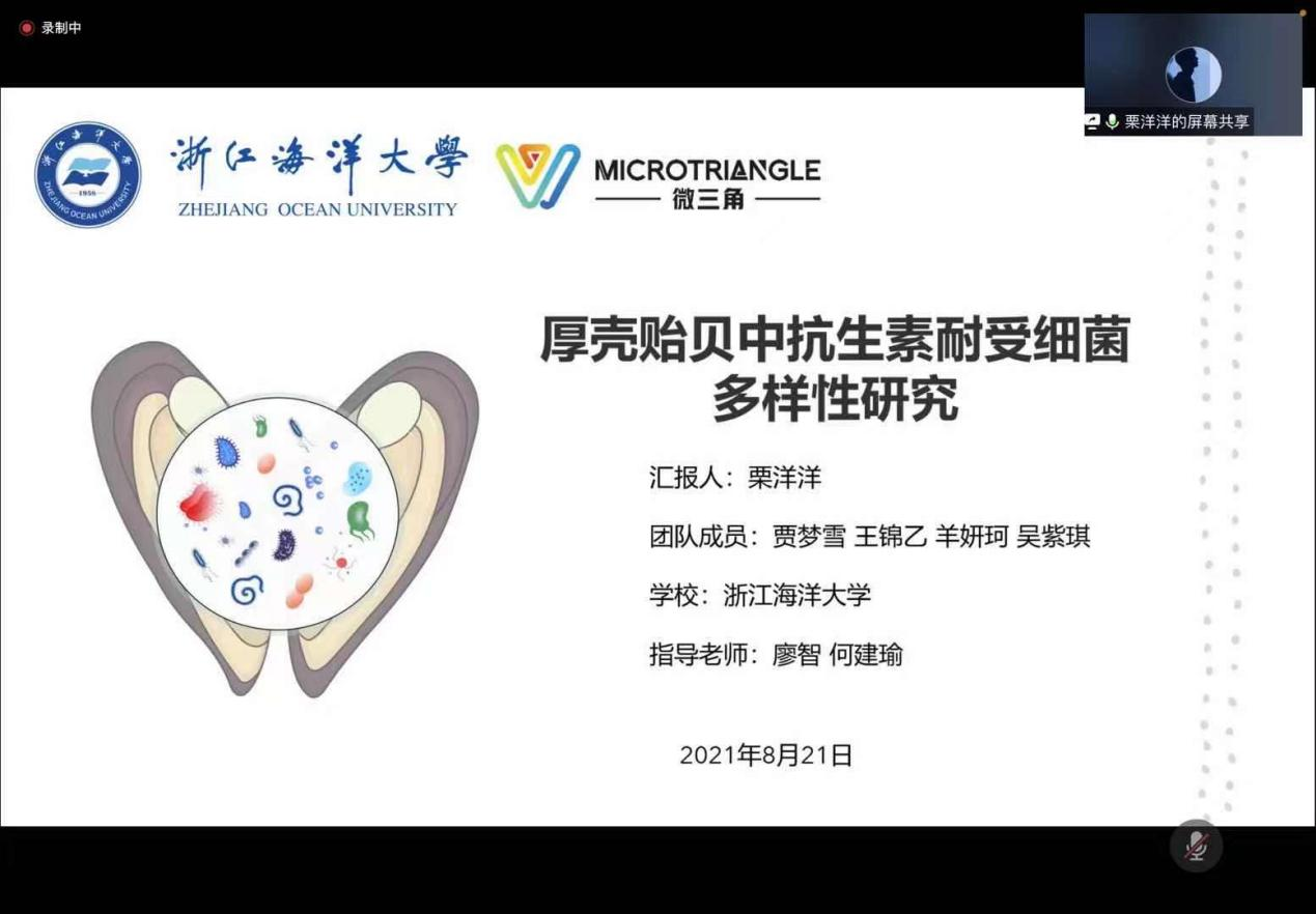 英国上市公司365